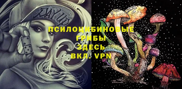 дурь Алексин