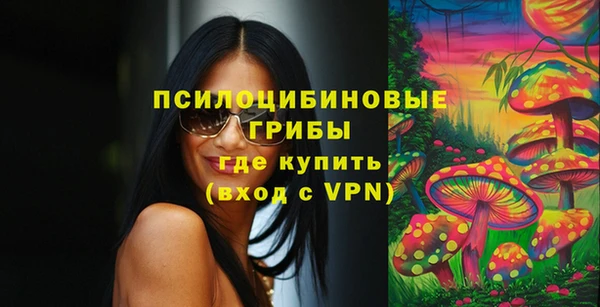 дмт Алексеевка